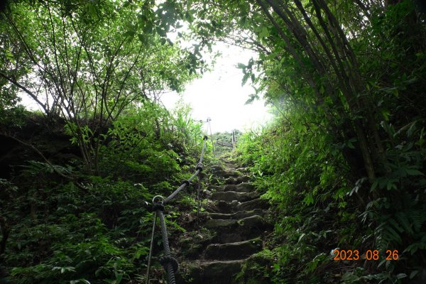 基隆 頂寮山、龍門山、五分山、頂子寮山2265965