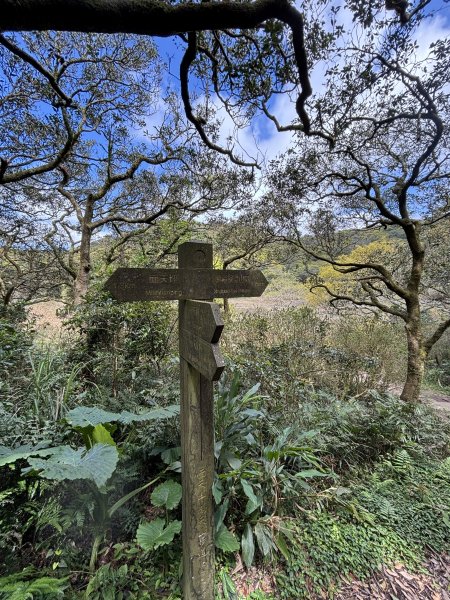 陽明山東西大縱走-西段3016192