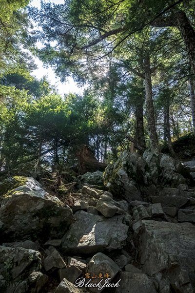 雪山東峰820968