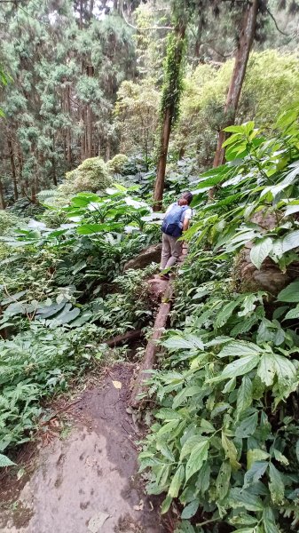 【苗栗南庄】向天湖山光天高山小O繞2933176