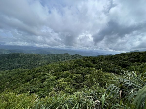 蛇子形古道2511198