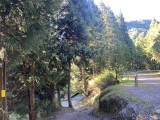 1120710觀霧國家森林風景區2938306