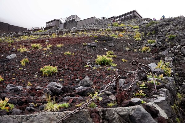 日本富士山 吉田路線2602007