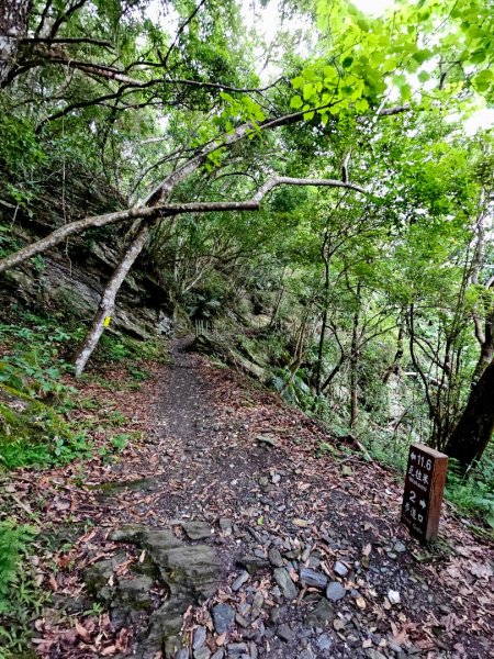 瓦拉米步道(登山口至佳心段)-(花蓮)臺灣百大必訪步道2789412