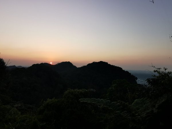 六寮古道→高峰植物園→鳳崎落日→石門水庫楓林→東眼山→鳶山→五酒桶山→台大椰林→富陽公園→象山步道1667439