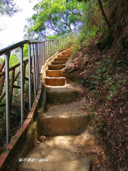 彰化田中~蓊鬱山林賞景趣~田中森林步道1043652