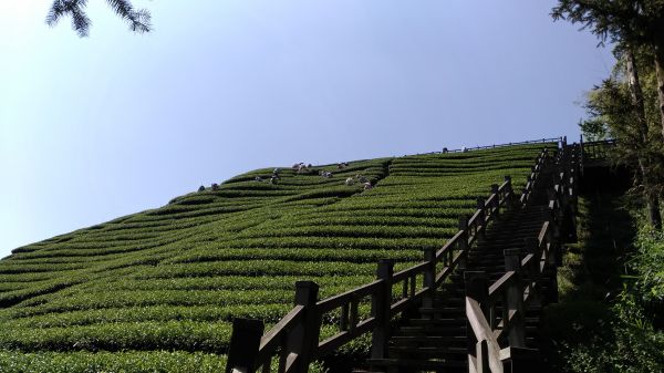 海鼠山1314觀景台+瑞峰愛情塔309189