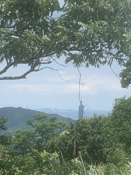 20260618更寮古道（土庫岳）3079742