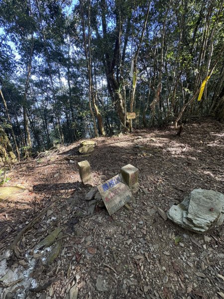 20251207藤枝山步道2957639