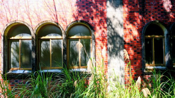 經營時間的早餐店2993568