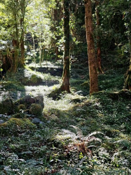 1141122特富野古道2945776