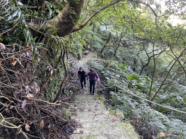 2025微笑山線大縱走尋寶集章任務-Ep.04【天上山系】望月亭桐花段｜石門內尖山東峰 ×石門內尖山2979088