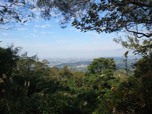 飛鳳山 中坑山1566121