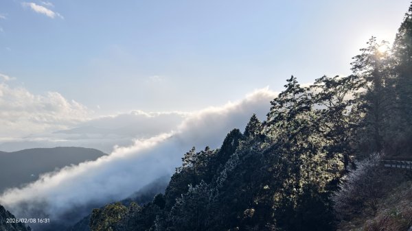#霧淞 #雲海 #雲瀑 #霧虹 #太平山 #望洋山 #觀雲步道 #翠峰道路  2/82995285