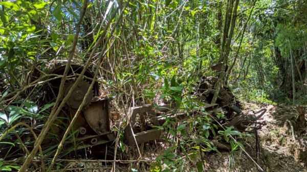 鳳凰山步道（溪頭）2838223