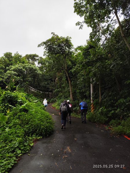 小金面山→西湖山→論劍山→剪刀石山→金面山步道2796811