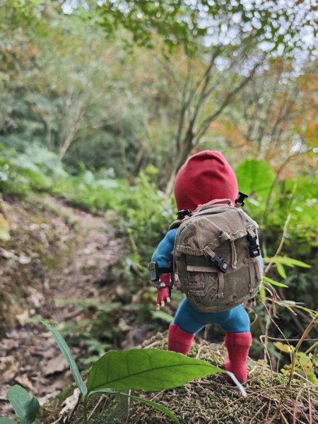 2023.12.27 大溪金面山2839303