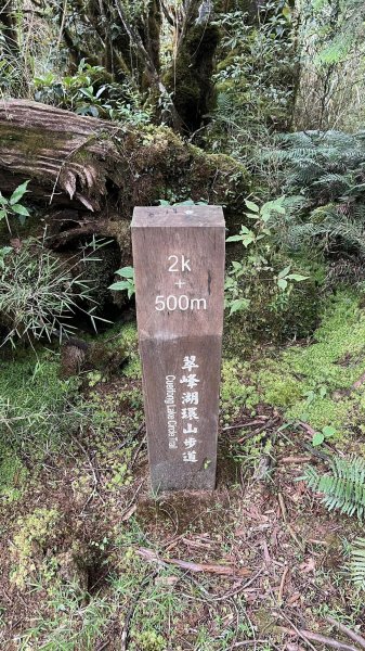 太平山翠峰湖環山步道2551621