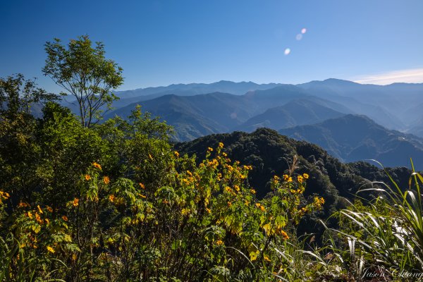 [苗栗]馬那邦山2355153