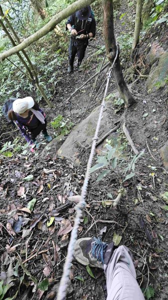 20250429蛇子形古道稜線段-八分寮古道-三角尖山-尪仔上天山-八分寮頂山2773589