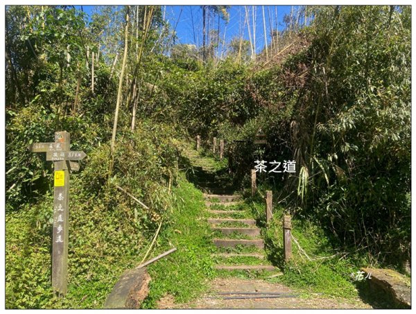 頂石棹步道群、樂野山、霹靂山 d型路線2749165