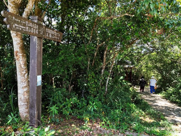 【臺北大縱走 4】大崙頭山北面步道→五指山古道→雙溪溝古道2874368