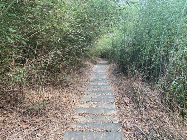 苗栗頭份-老崎古道2628324