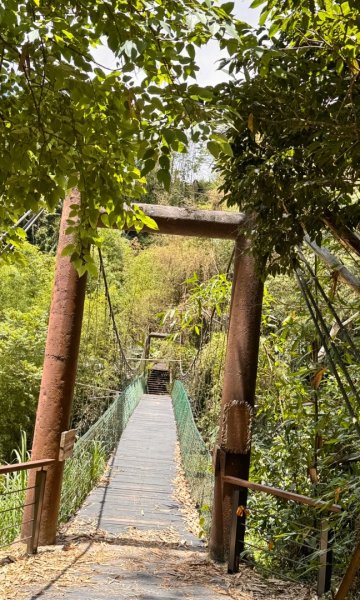 阿里山迷糊步道-福山古道2793509