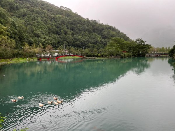 20241121_望龍埤步道2855713