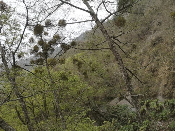 巴庫拉斯，七彩湖1339138