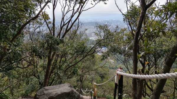 內湖金面山步道890433