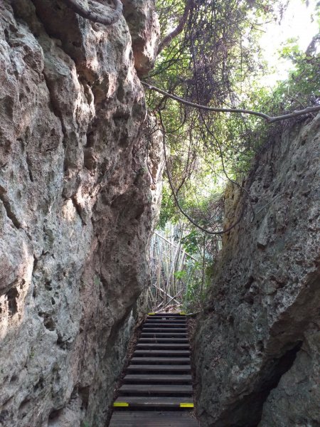 高雄北柴山（壽山）新春猴塞雷816879