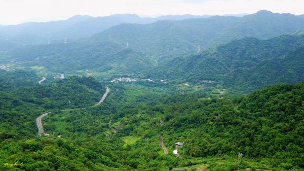 【淡蘭中路】翻山越嶺的茶商之道981266