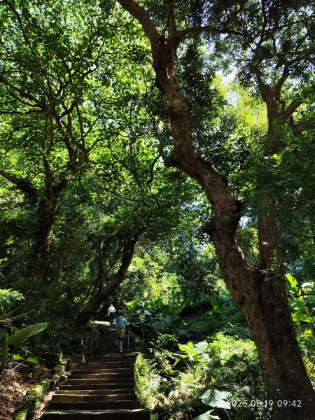 天母水管路步道→天母古道→磺溪→白雲瀑布【發現陽明山、臺北健走趣】2864656