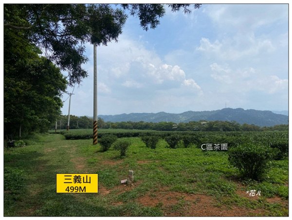 三義山、慈濟山、大坪山 連走桐花之旅3043857
