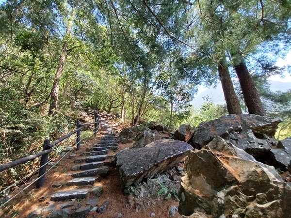 【台中和平】山林靜謐時光。 捎來步道