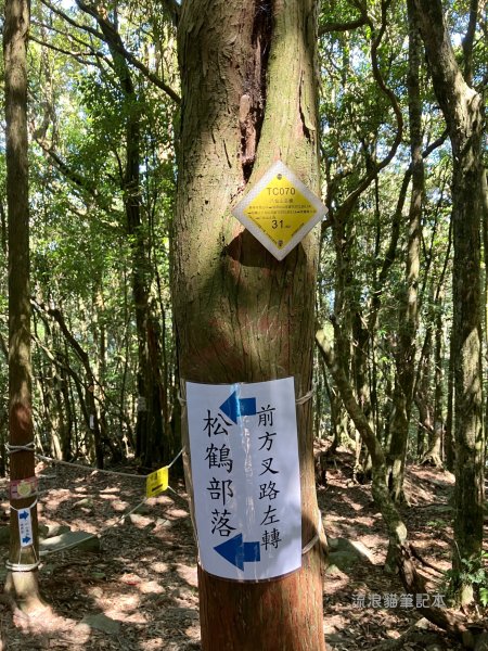 【谷關七雄】八仙山主峰步道2894864