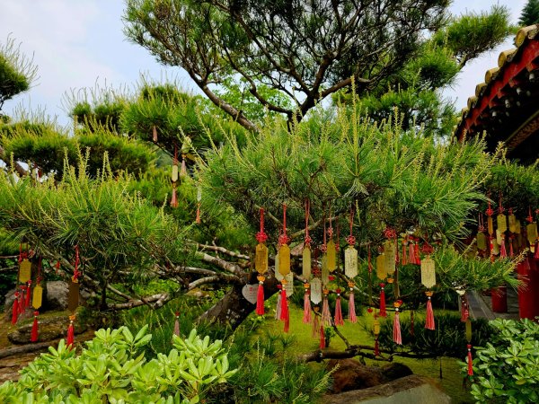 2025年臺北大縱走第七段：世界山莊至飛龍步道政大後山2757382