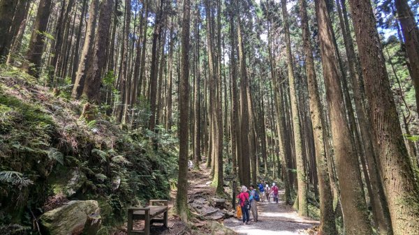 橫沙笛縱走 (木馬古道、橫嶺山、沙蓮山、笛吹山)2550367