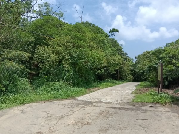 瑞芳區過港山+四腳亭砲台+深奧砲台山P字走2803736