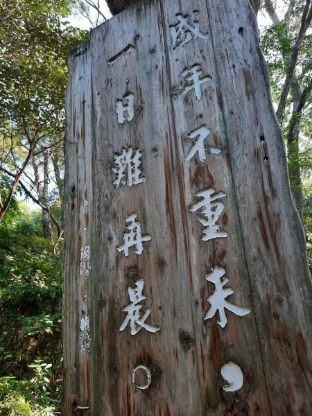 《彰化》田中森林登山步道O型202011221179765