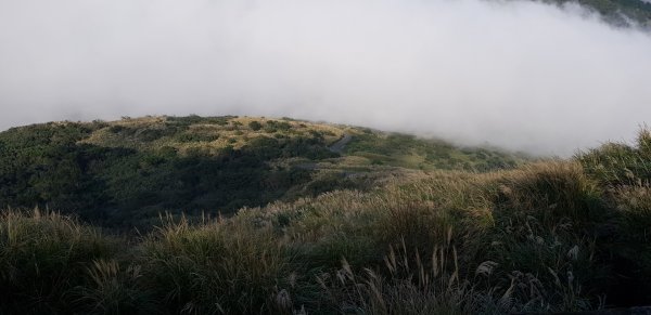 大屯山主峰步道760175