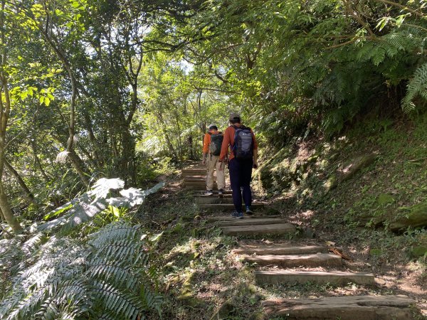 《銀河洞越嶺到貓空｜冬日健行 4 5 公里秘境步道｜親子也適合的台北近郊路線》2971031