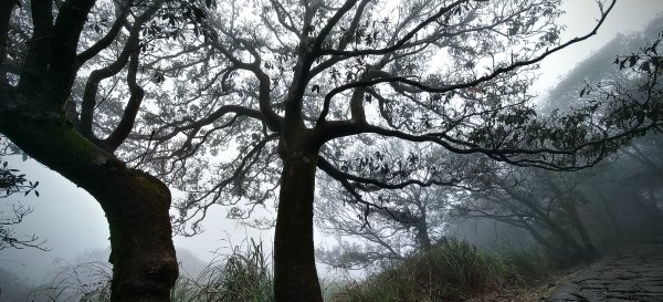 夢幻湖山步道1298211