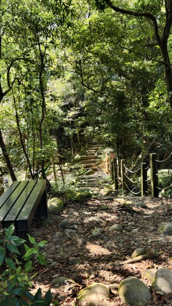 【台灣健行】台中大坑 5-1、5 頭嵙山2879639