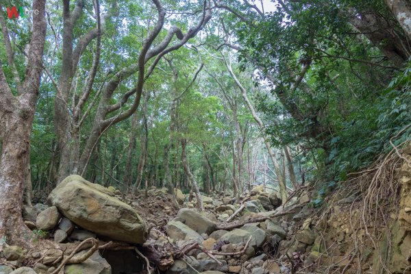 WL 愛旅行【里龍山】498545