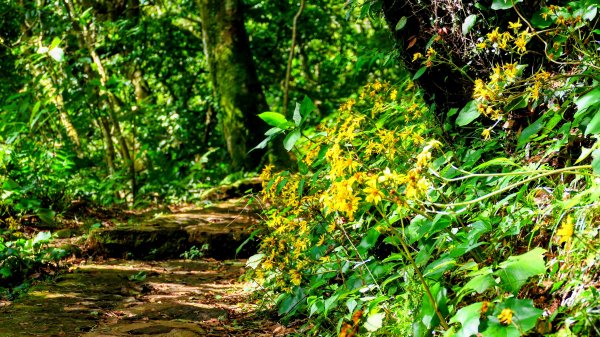 向天蝦不蝦2936806