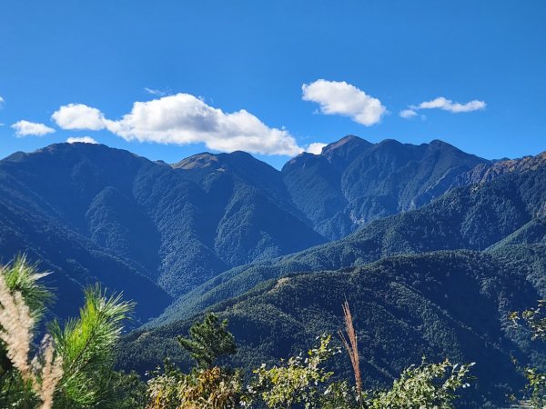 【中級山縱走】羅馬縱走，走進神木的夢幻童話森林世界2943240