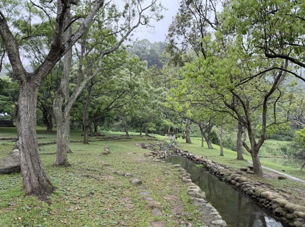 [樟之細路_第一大段RSA01] 2026_0329 三坑自然生態公園3026784