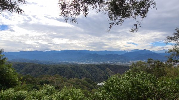 2020-1130飛鳳山O型1193895